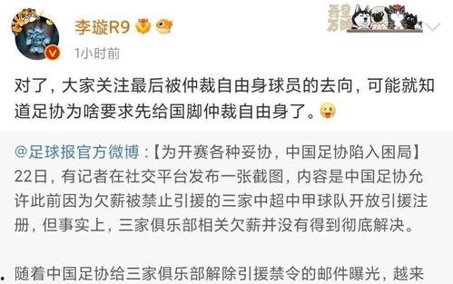 李璇爆料裁缝是哪一集视频,裁缝身份曝光，真相竟藏于这一集视频