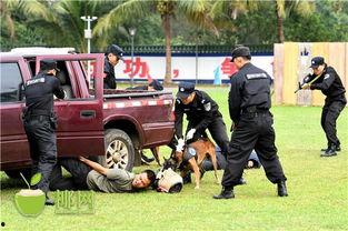 超级对抗最新爆料视频,揭秘神秘势力内幕 第1张 超级对抗最新爆料视频,揭秘神秘势力内幕 第1张