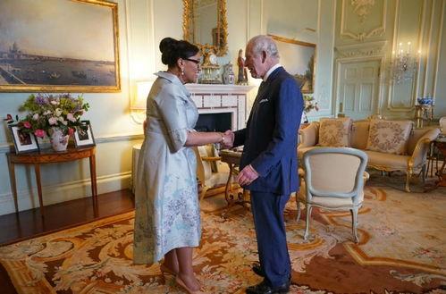 爆料英国记者死亡视频,真相与疑云交织  第3张